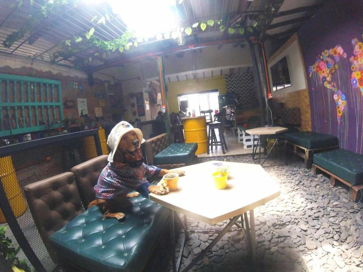 Panela Medellin Albergue Exterior foto
