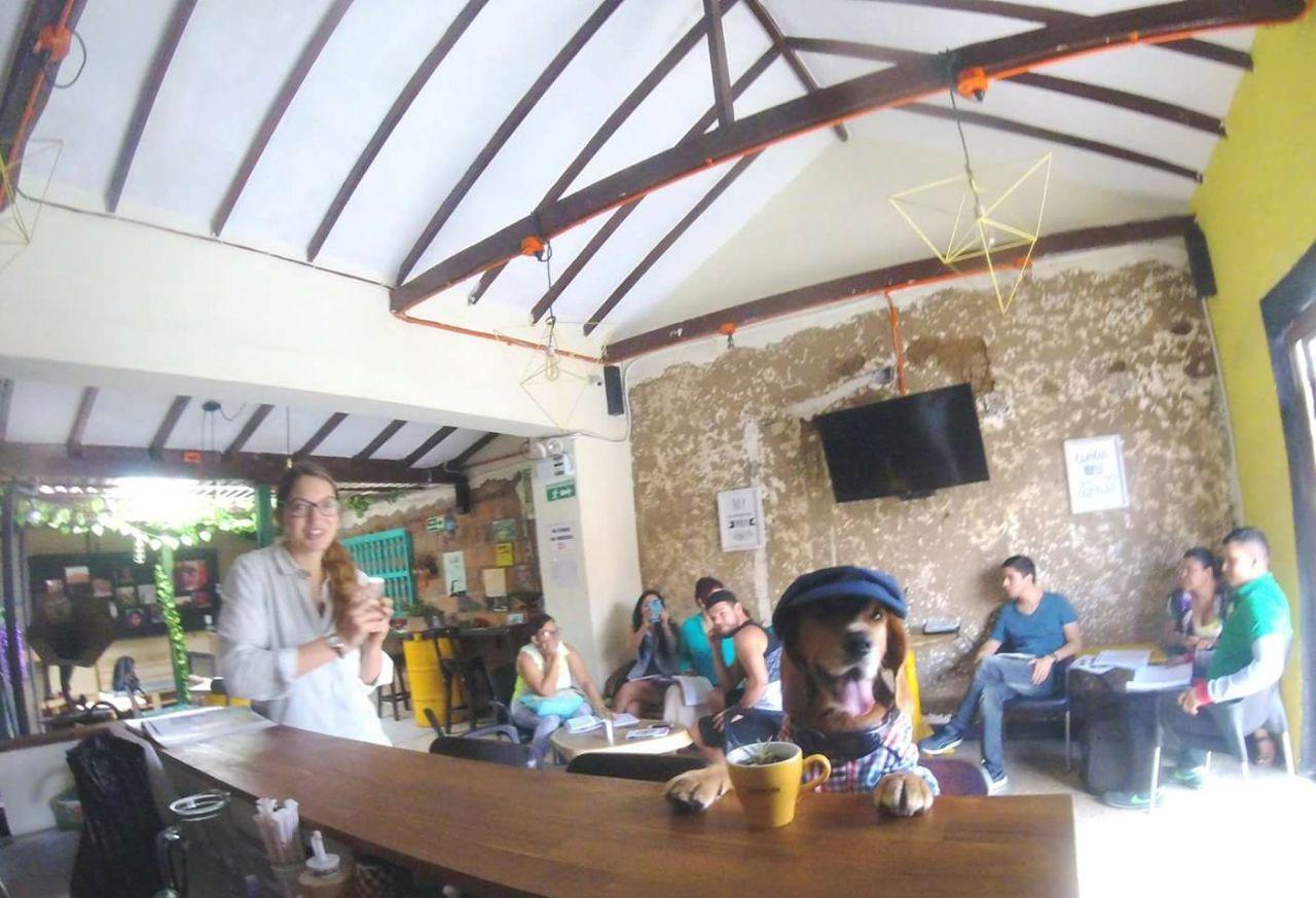 Panela Medellin Albergue Exterior foto